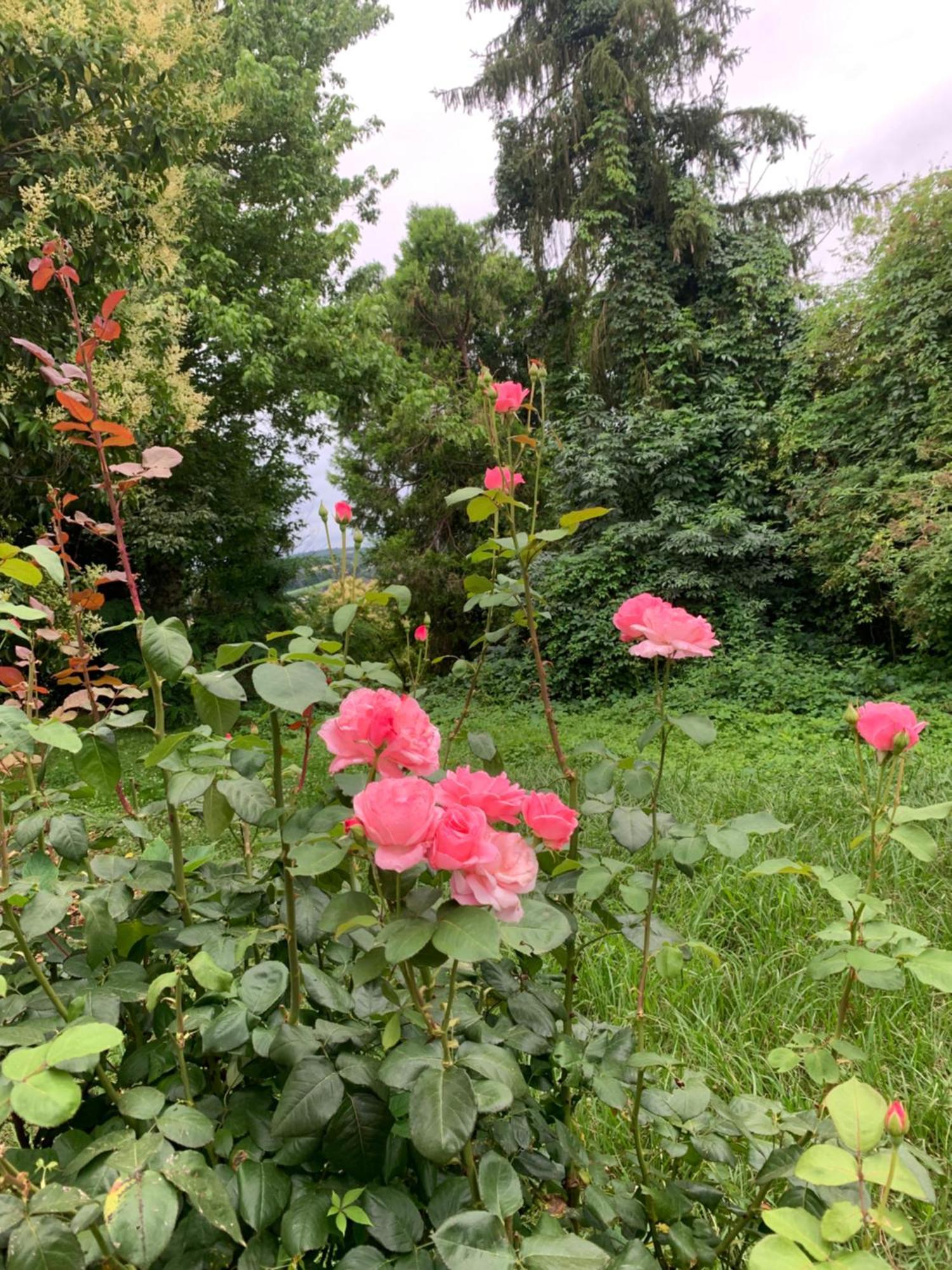 La Poesie Bed & Breakfast Lagor Bagian luar foto