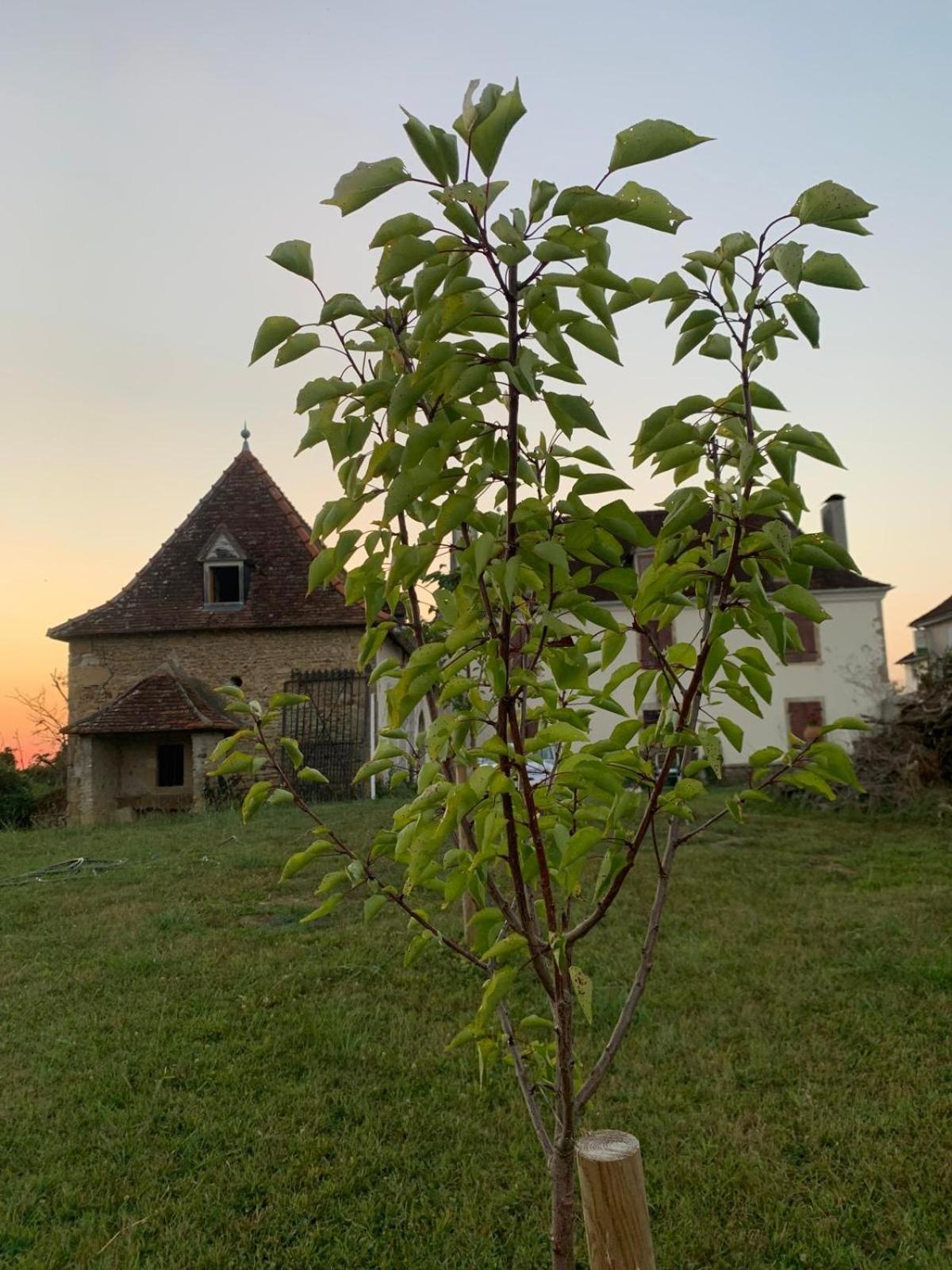 La Poesie Bed & Breakfast Lagor Bagian luar foto
